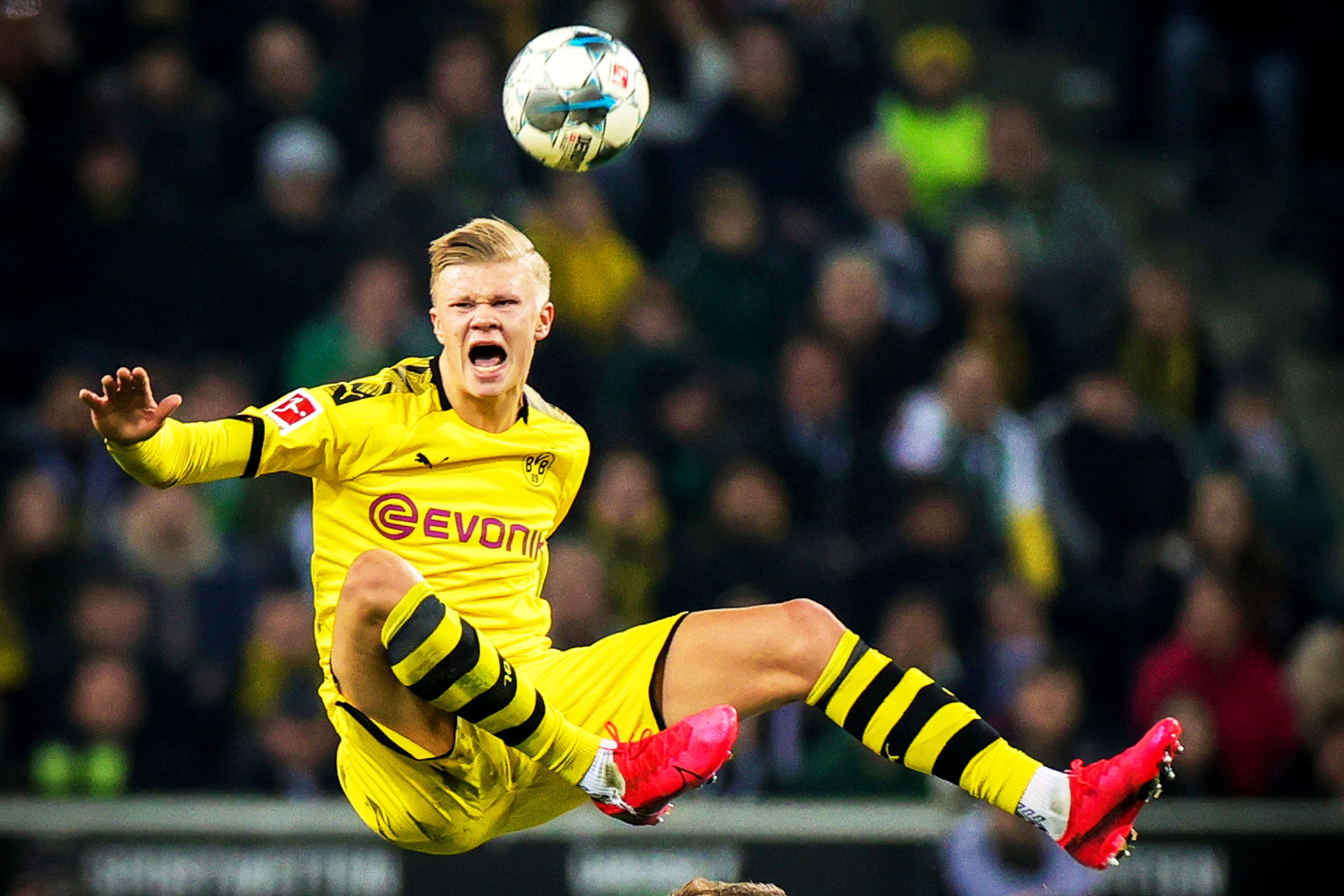 官方：英格兰女足主帅威格曼当选年度最佳女足主帅（官宣：英格兰女足主帅威格曼荣膺年度最佳女足教练）